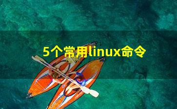 5个常用linux命令？