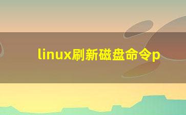 linux刷新磁盘命令p？