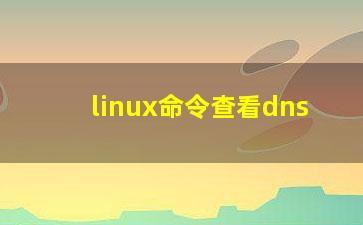 linux命令查看dns？