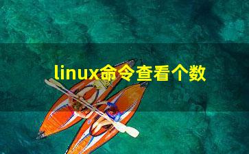 linux命令查看个数？