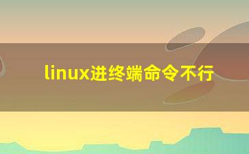 linux进终端命令不行？