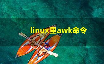 linux里awk命令？