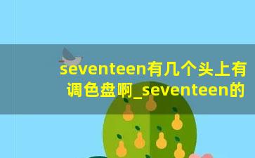 seventeen有几个头上有调色盘啊_seventeen的应援色是什么？