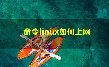 命令linux如何上网？