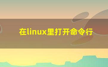 在linux里打开命令行？