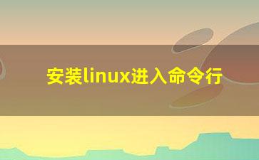 安装linux进入命令行？