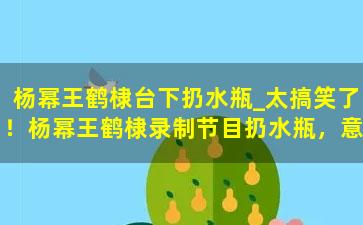 杨幂王鹤棣台下扔水瓶_太搞笑了！杨幂王鹤棣录制节目扔水瓶，意外展现可爱一面！