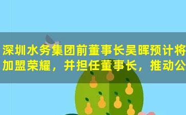 深圳水务集团前董事长吴晖预计将加盟荣耀，并担任董事长，推动公司上市进程