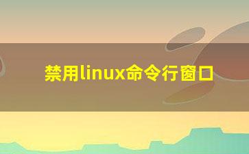 禁用linux命令行窗口？