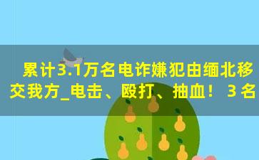 累计3.1万名电诈嫌犯由缅北移交我方_电击、殴打、抽血！３名缅北回流电诈嫌疑人自述真实经历