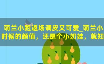 萌兰小跑返场调皮又可爱_萌兰小时候的颜值，还是个小奶娃，就知道和奶爸对话